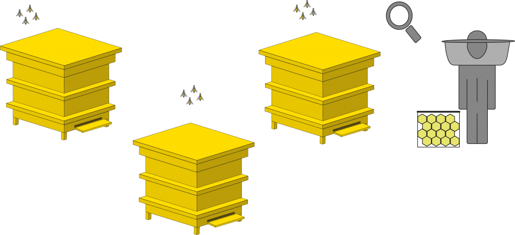 pszczelarz miodobranie
